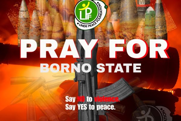 Media Statement:16 March 2026 Bombing Incident in Maiduguri, Borno State